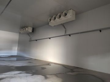 耐久PUサンドイッチ パネルが付いている空気調節のフリーザーの貯蔵室
